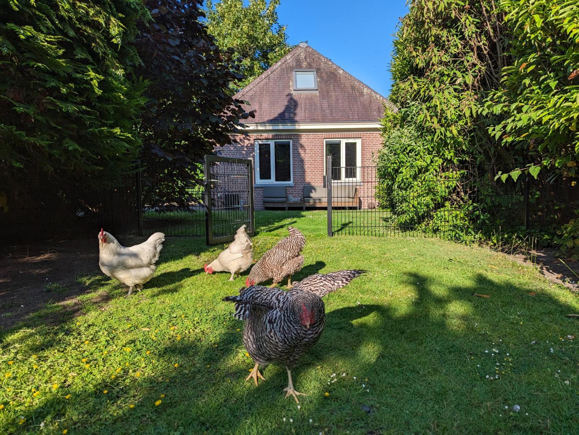Boutique B&B Villa Van Voss Etten-Leur Exterior foto